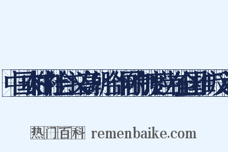 中国农村的社会主义高潮·合作网的制度应当在全国推广反义词是什么意思的图片